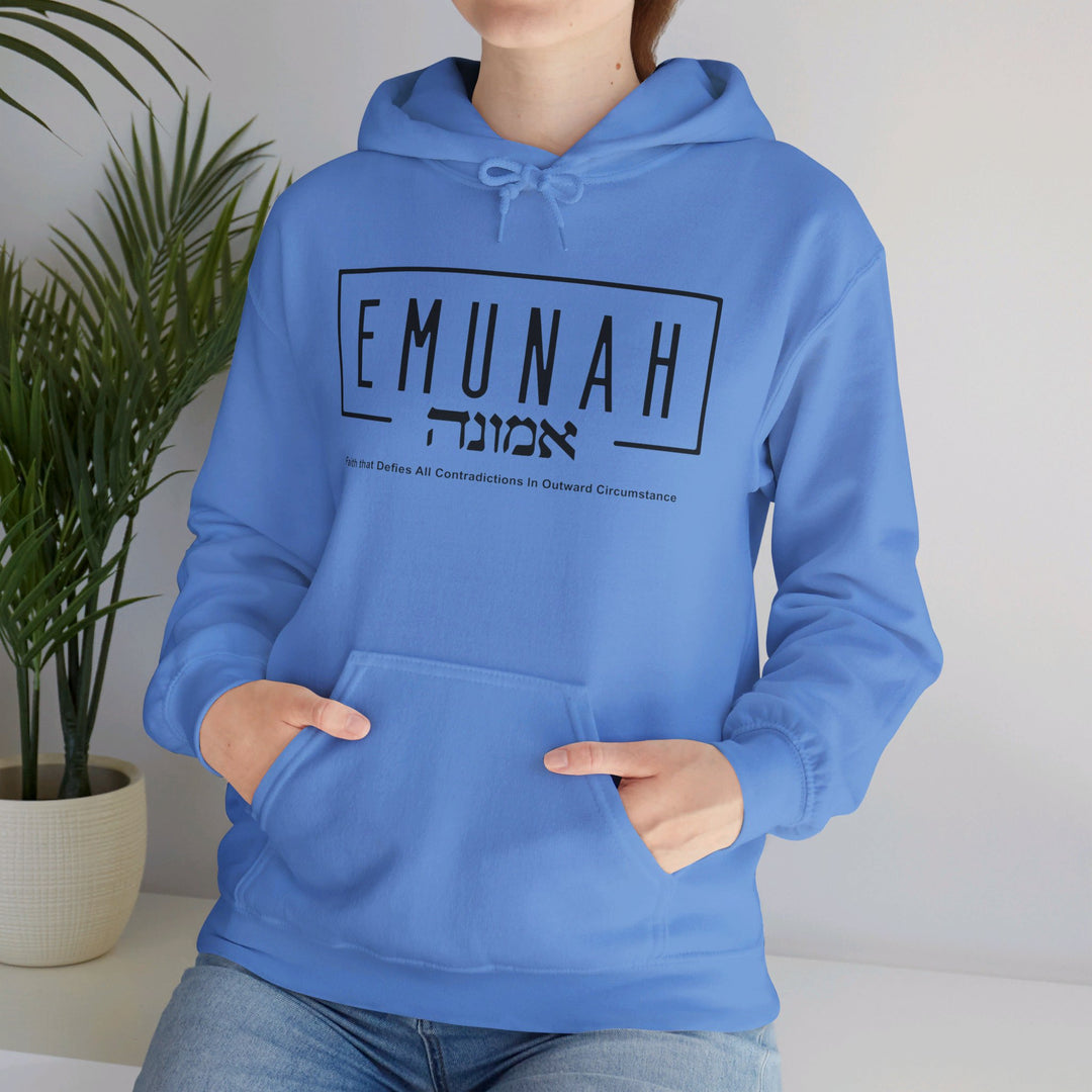 Emunah Faith That Defies Hoodie Hoodie   