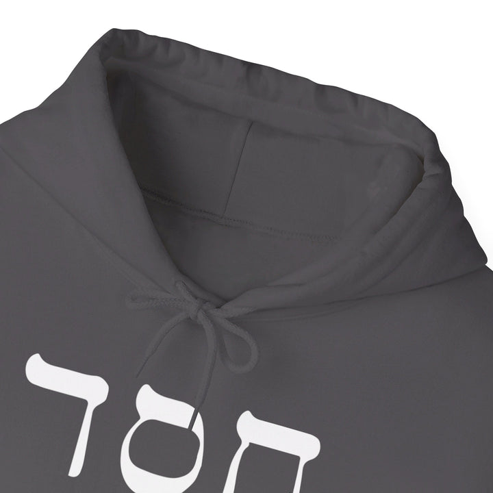 Hesed Hebrew Hoodie Hoodie   