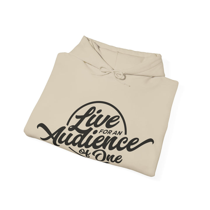 Audience of One Hoodie Hoodie   