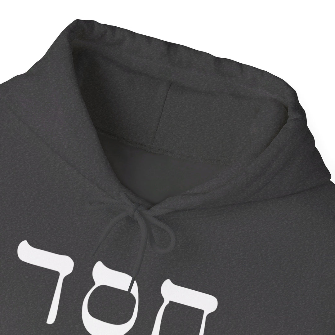 Hesed Hebrew Hoodie Hoodie   