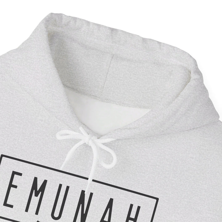 Emunah Faith That Defies Hoodie Hoodie   