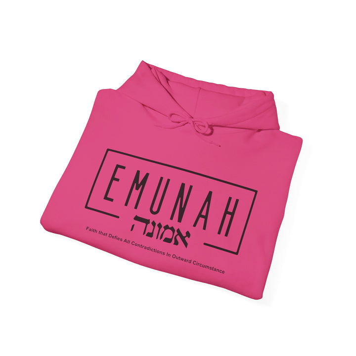 Emunah Faith That Defies Hoodie Hoodie   