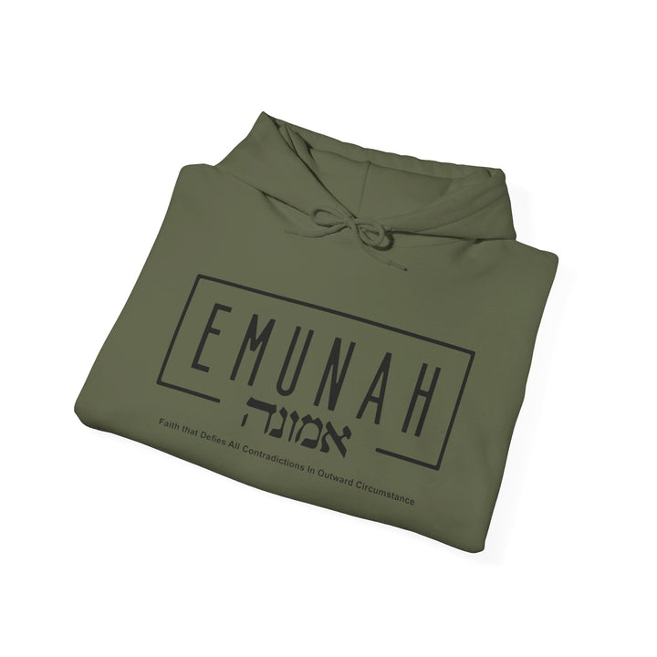 Emunah Faith That Defies Hoodie Hoodie   