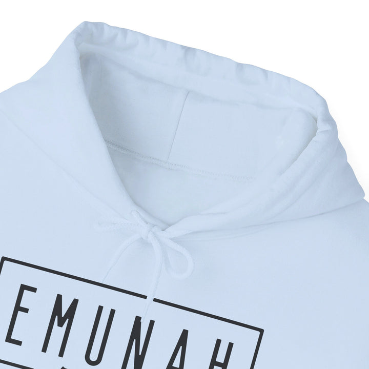 Emunah Faith That Defies Hoodie Hoodie   