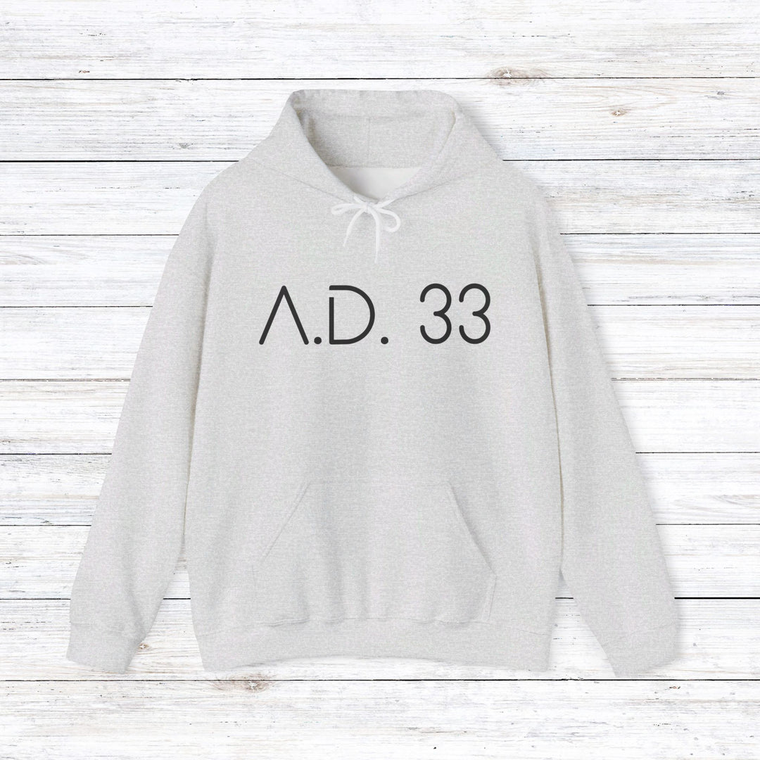 AD 33 Hoodie Hoodie Ash S 