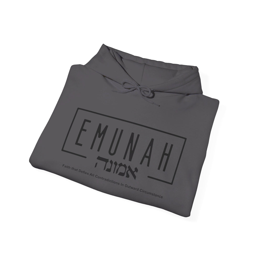 Emunah Faith That Defies Hoodie Hoodie   