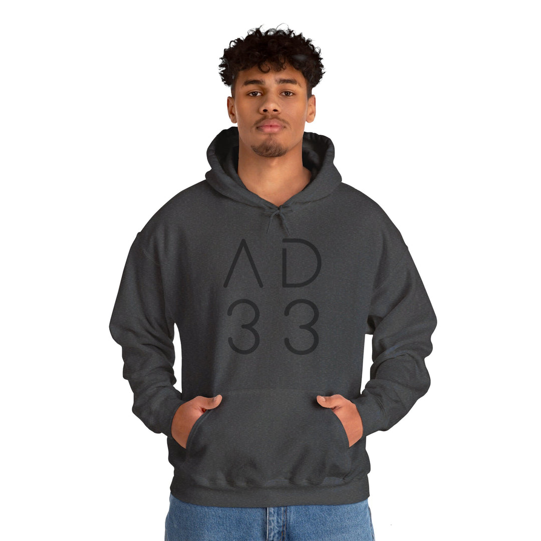 AD 33 Hoodie Hoodie   