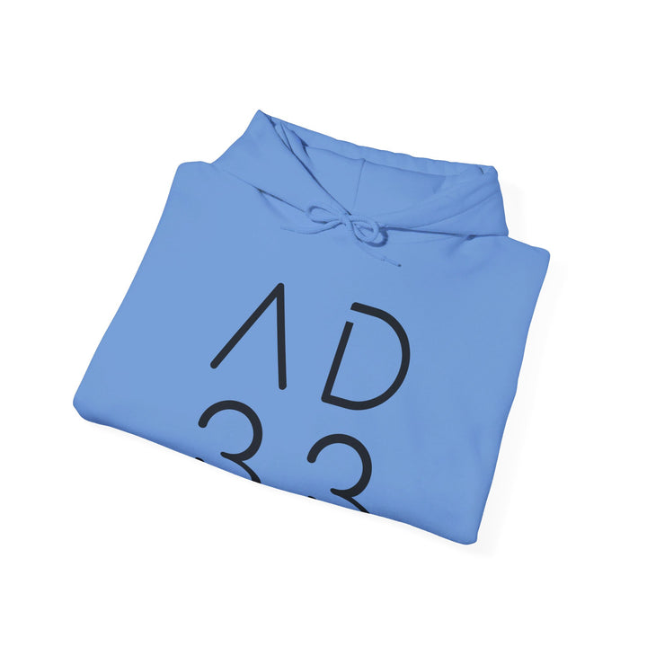 AD 33 Hoodie Hoodie   