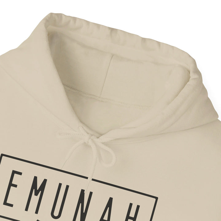 Emunah Faith That Defies Hoodie Hoodie   