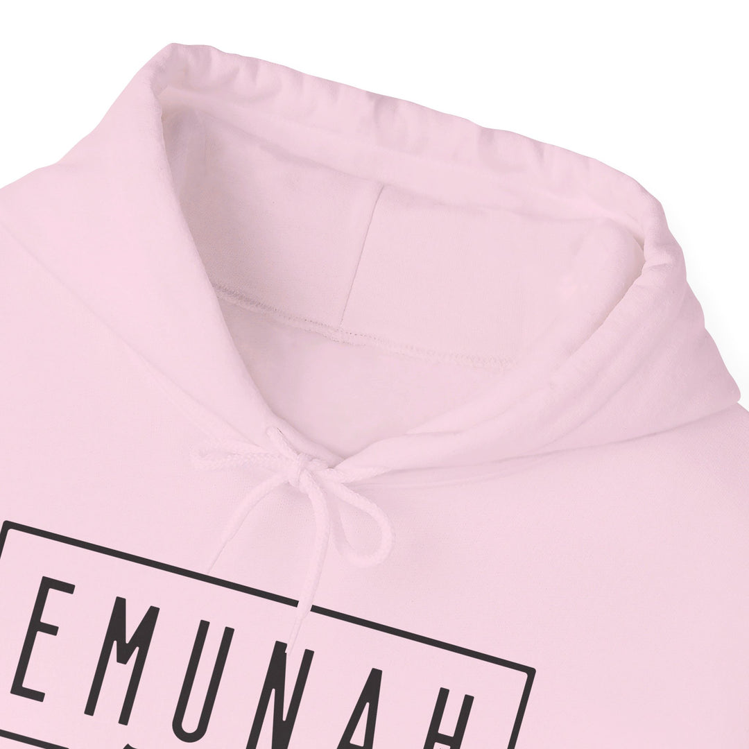 Emunah Faith That Defies Hoodie Hoodie   