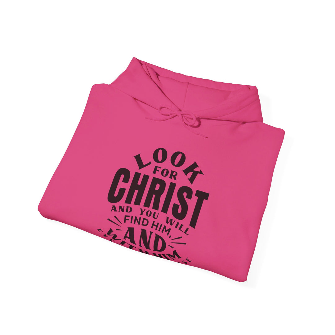 Look For Christ Hoodie Hoodie   