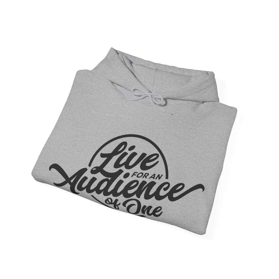 Audience of One Hoodie Hoodie   