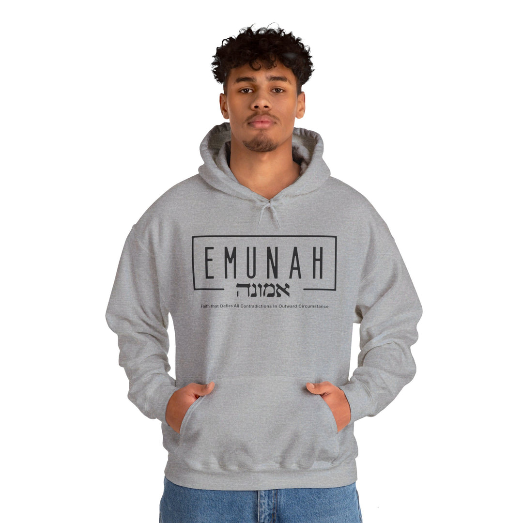 Emunah Faith That Defies Hoodie Hoodie   