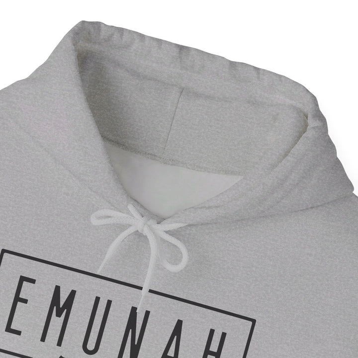 Emunah Faith That Defies Hoodie Hoodie   