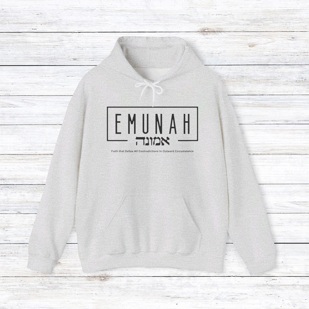 Emunah Faith That Defies Hoodie Hoodie Ash S 