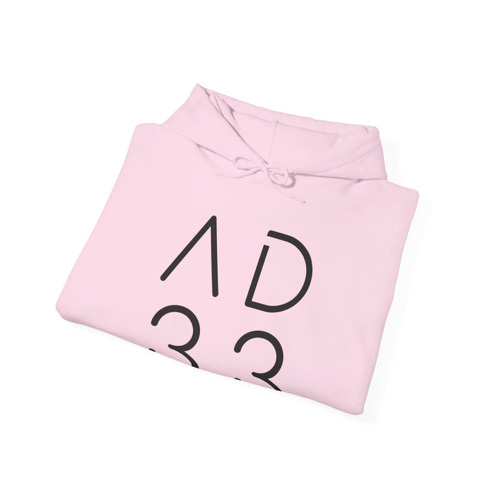 AD 33 Hoodie Hoodie   