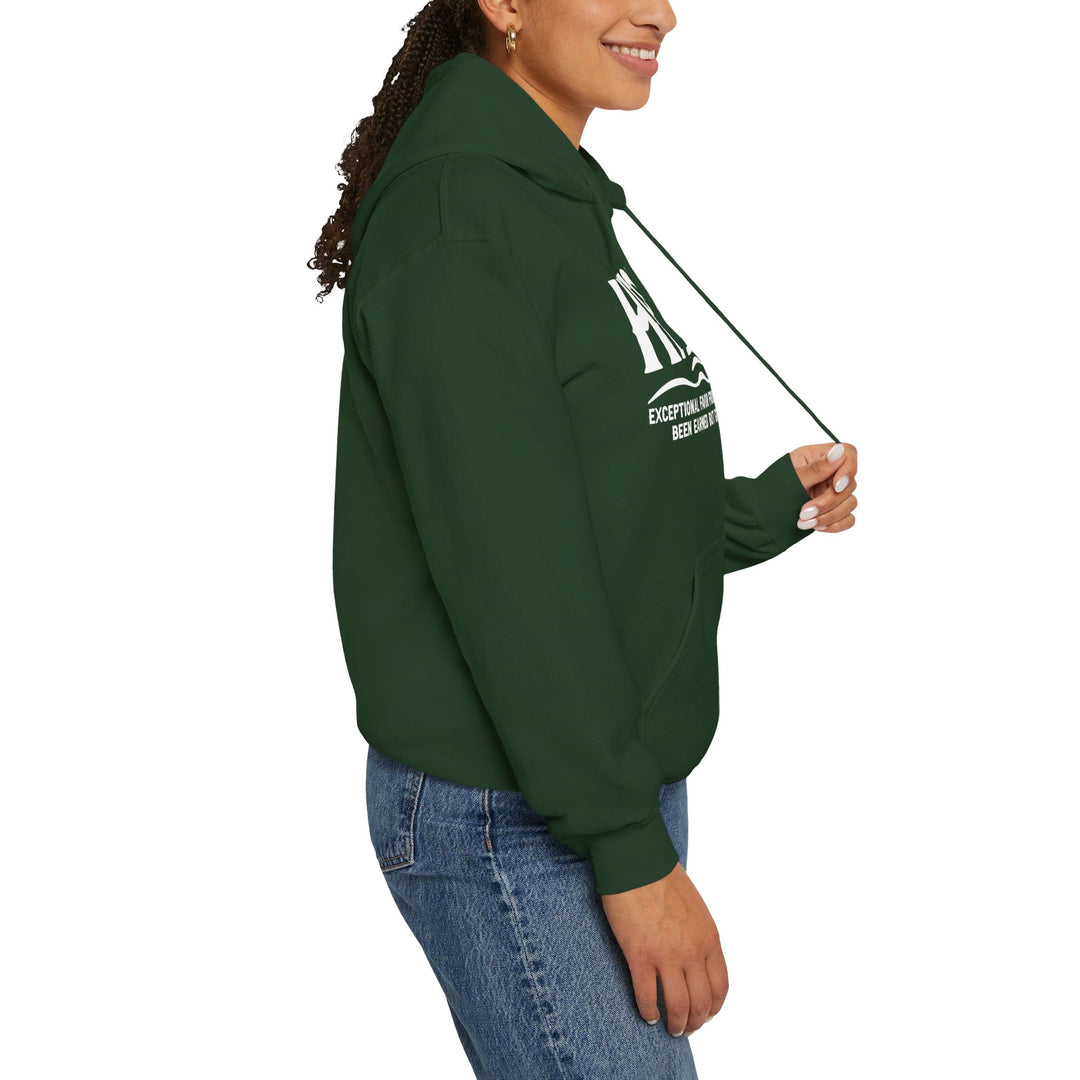 Hesed Exceptional Favor Hoodie Hoodie   