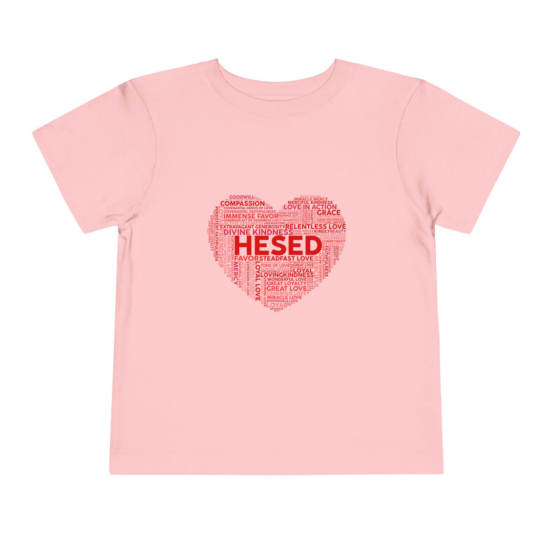 Hesed Heart Cloud Toddler Tee Kids clothes Pink 2T 