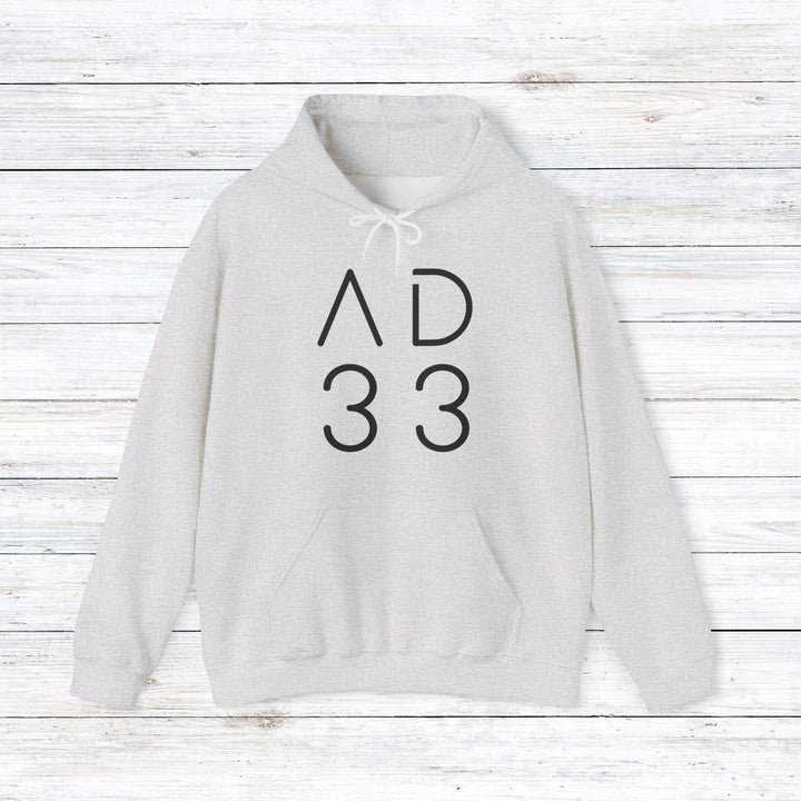 AD 33 Hoodie Hoodie Ash S 