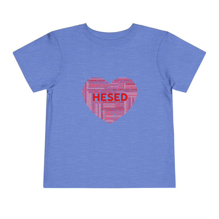 Hesed Heart Cloud Toddler Tee Kids clothes Heather Columbia Blue 2T 