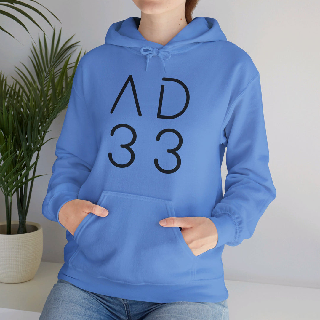 AD 33 Hoodie Hoodie   