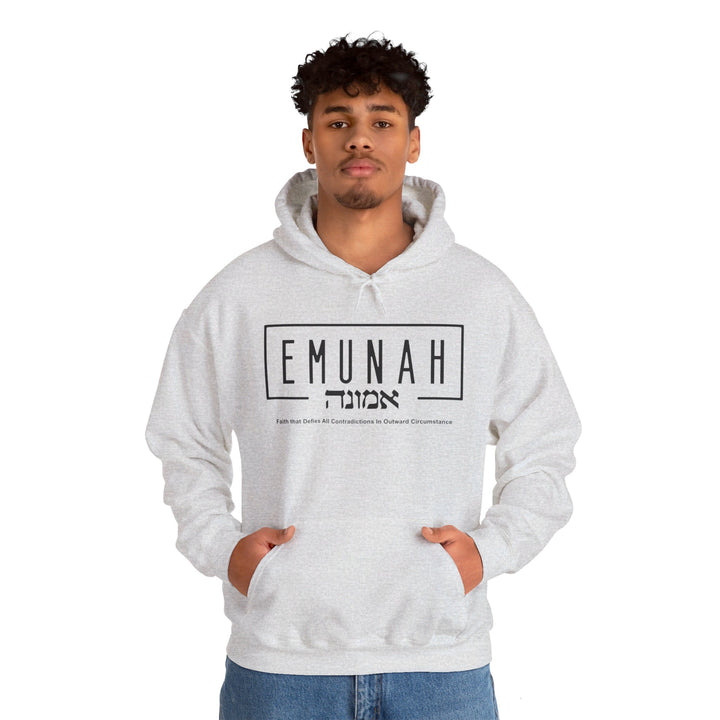 Emunah Faith That Defies Hoodie Hoodie   