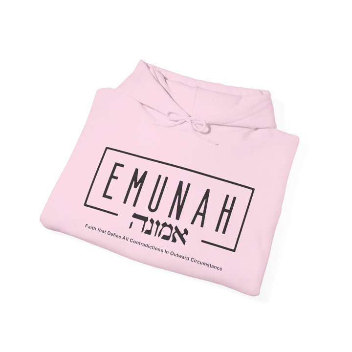 Emunah Faith That Defies Hoodie Hoodie   