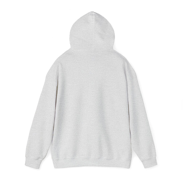 Audience of One Hoodie Hoodie   