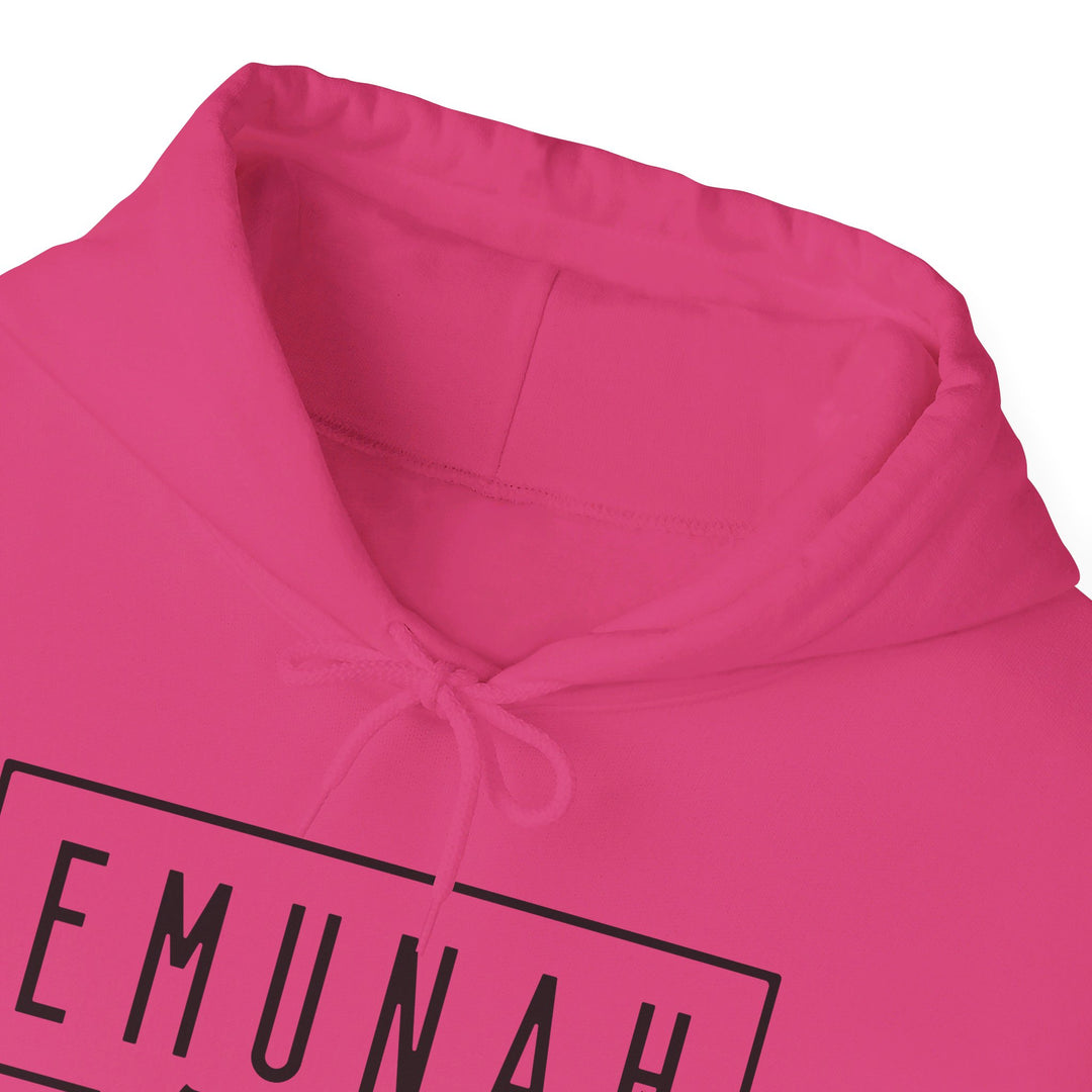 Emunah Faith That Defies Hoodie Hoodie   