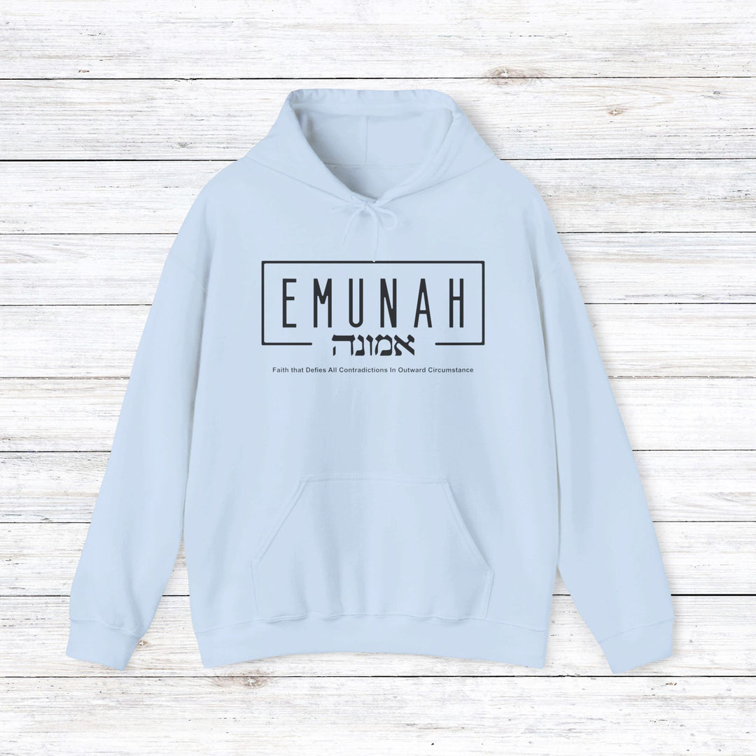 Emunah Faith That Defies Hoodie Hoodie Light Blue S 