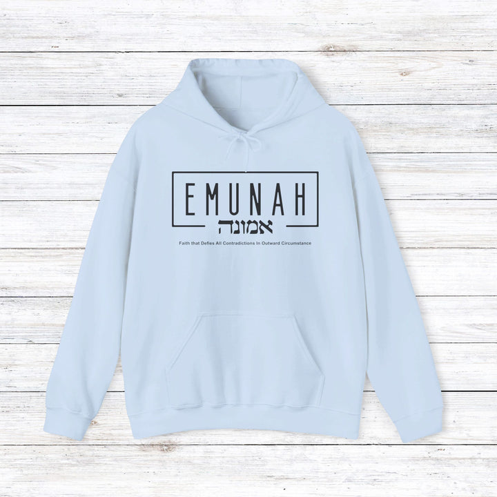 Emunah Faith That Defies Hoodie Hoodie Light Blue S 