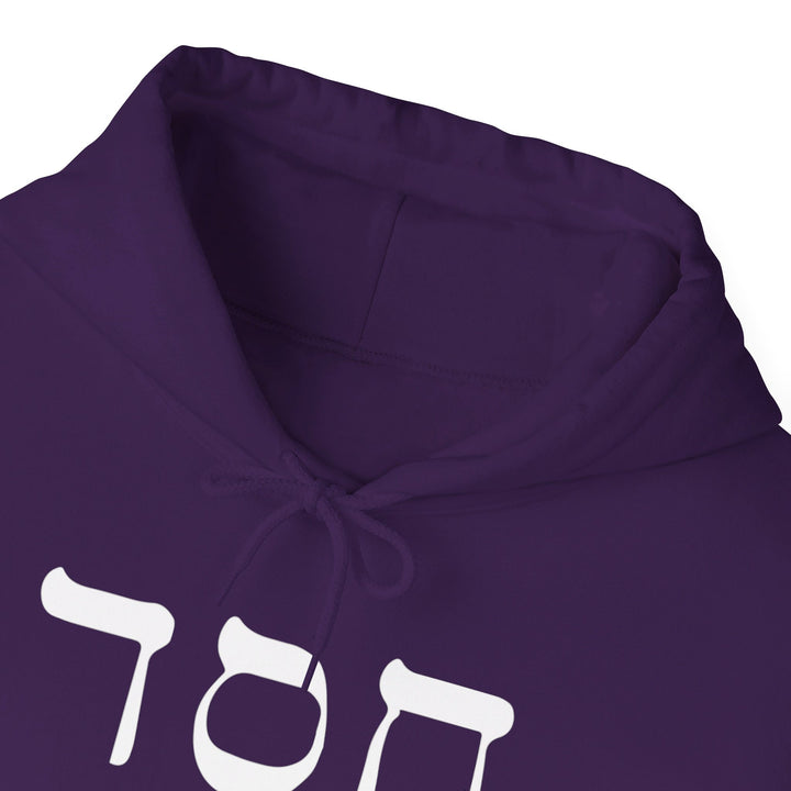 Hesed Hebrew Hoodie Hoodie   