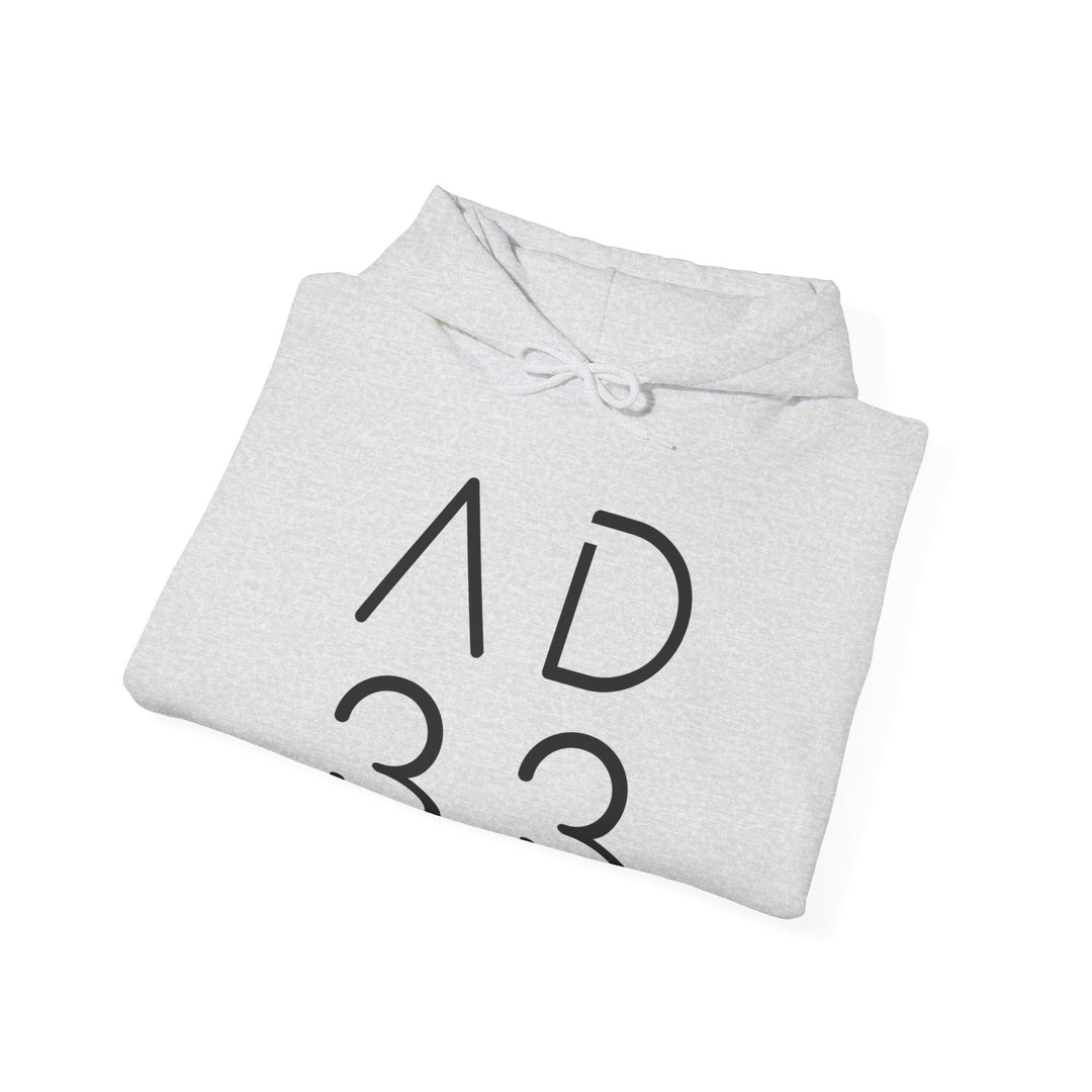 AD 33 Hoodie Hoodie   