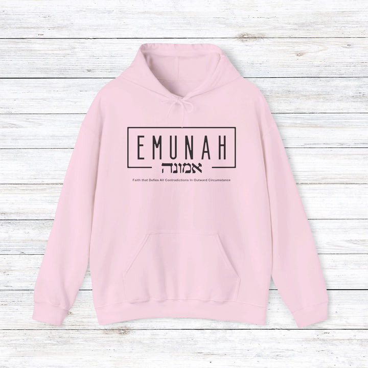 Emunah Faith That Defies Hoodie Hoodie Light Pink S 