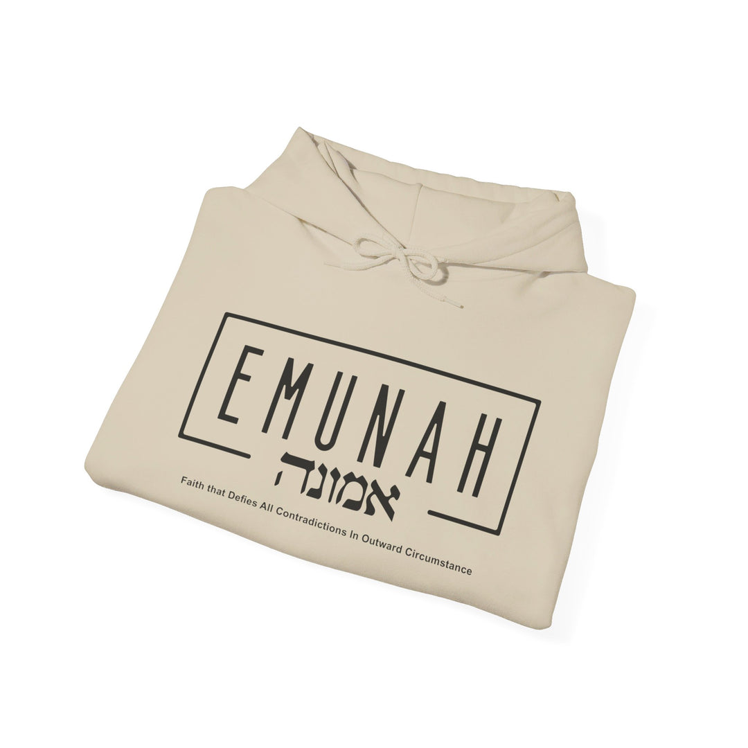 Emunah Faith That Defies Hoodie Hoodie   