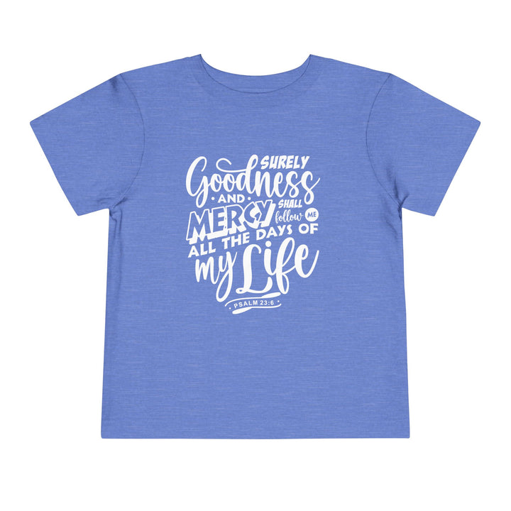 Goodness and Mercy Toddler Tee Kids clothes Heather Columbia Blue 2T 