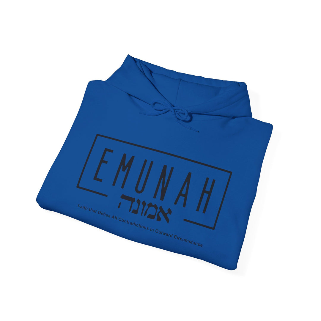 Emunah Faith That Defies Hoodie Hoodie   