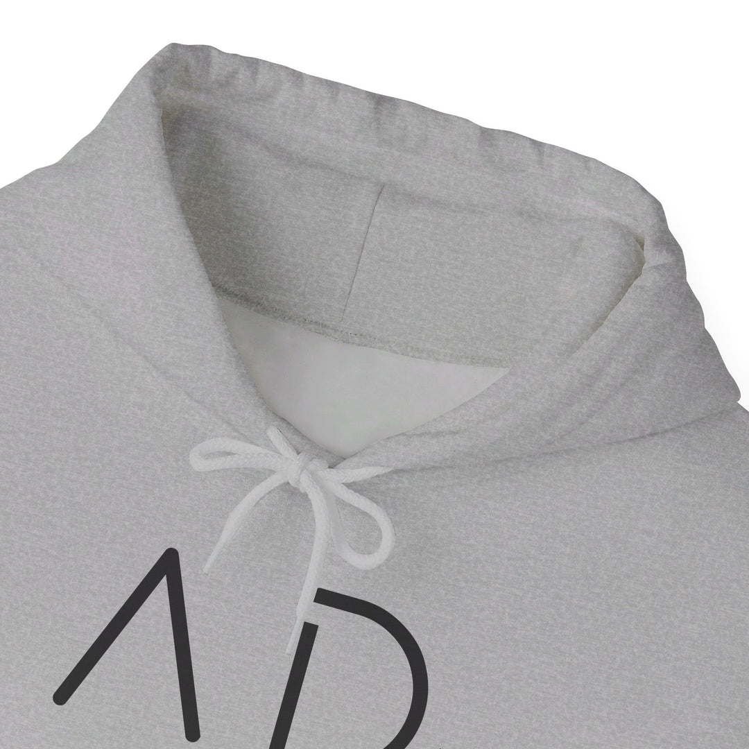 AD 33 Hoodie Hoodie   