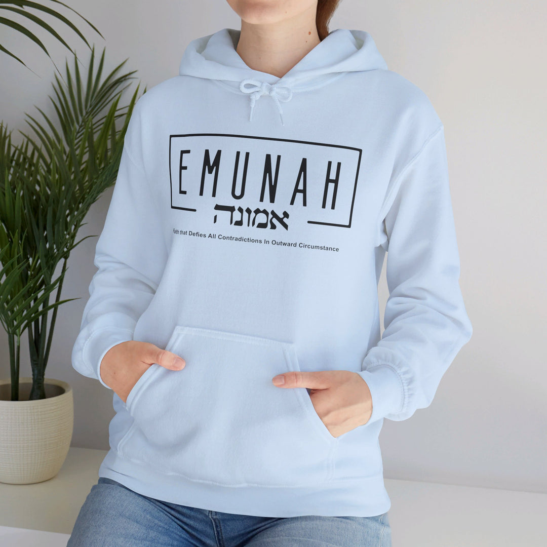 Emunah Faith That Defies Hoodie Hoodie   