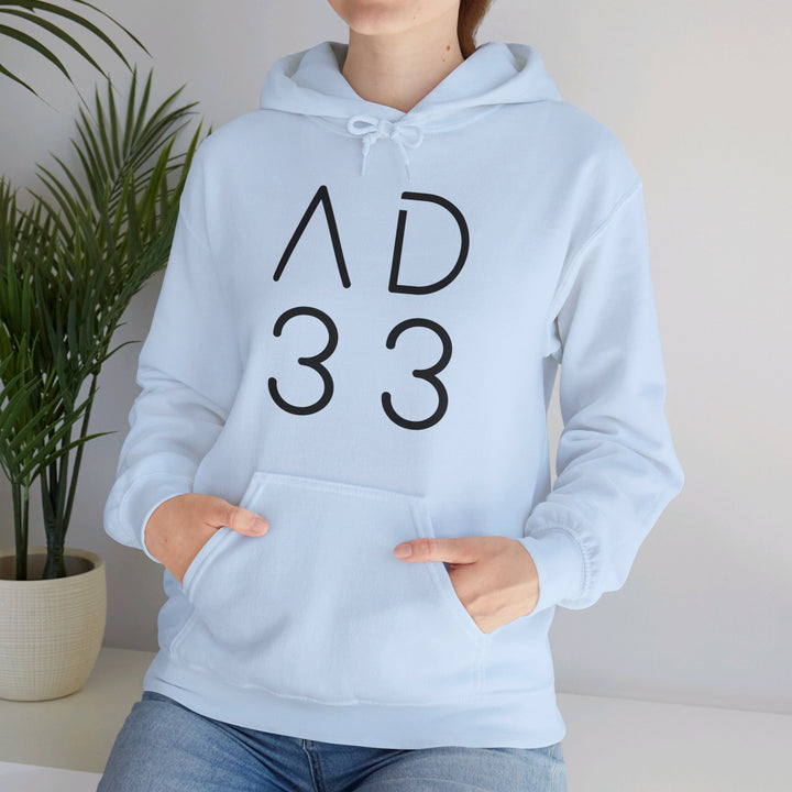 AD 33 Hoodie Hoodie   