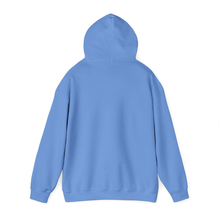 Audience of One Hoodie Hoodie   