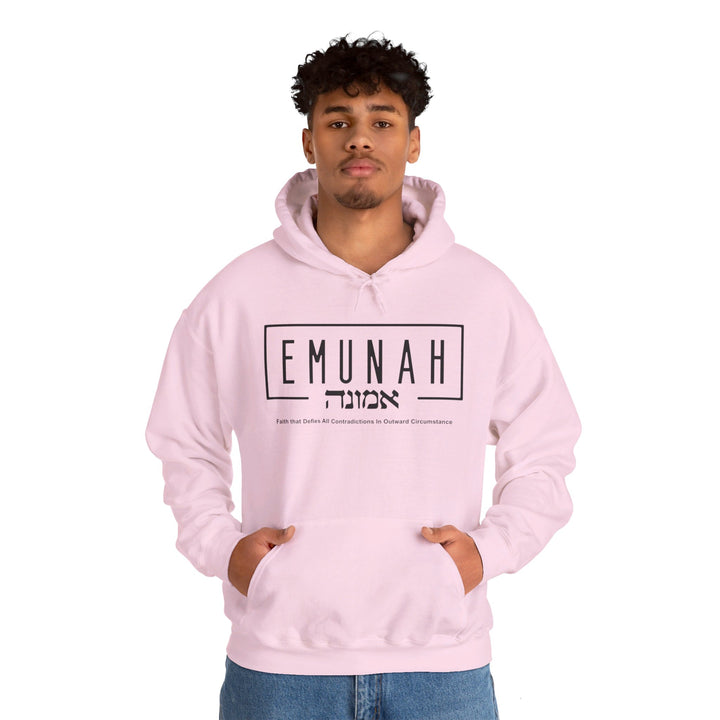 Emunah Faith That Defies Hoodie Hoodie   