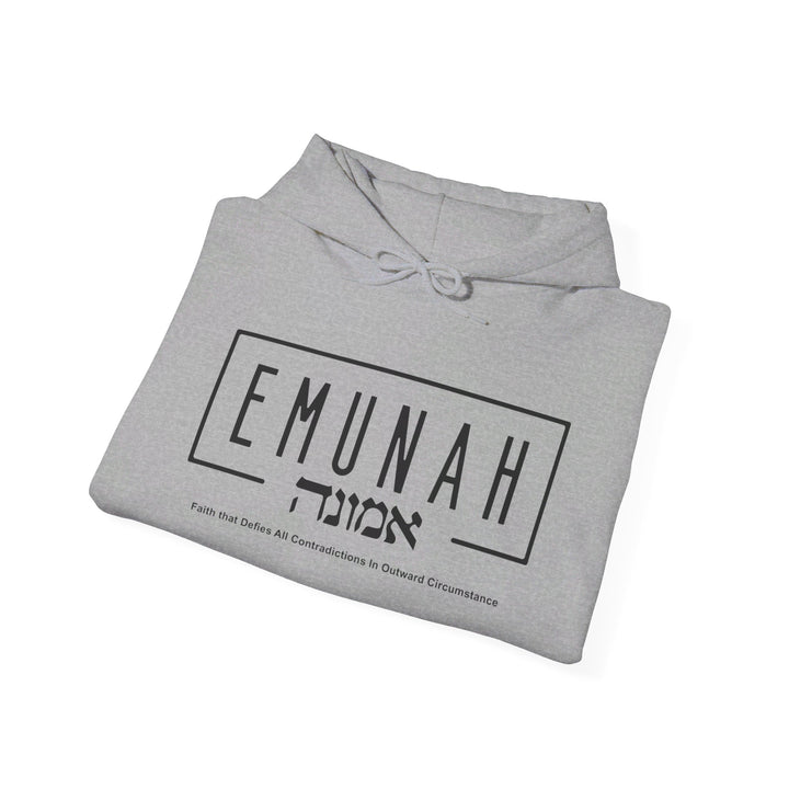 Emunah Faith That Defies Hoodie Hoodie   