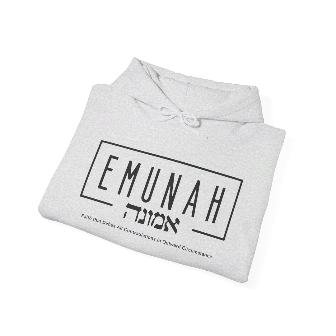 Emunah Faith That Defies Hoodie Hoodie   