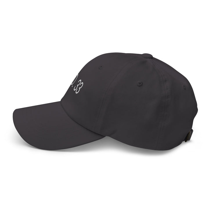 AD 33 Classic Dad Hat Classic Dad Hat   