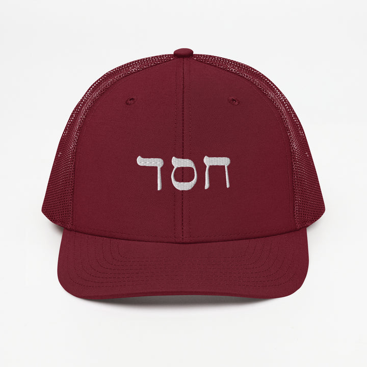 Christian Hat Hesed Trucker Trucker Hat Cardinal